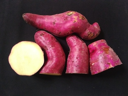 포토 JPG 해외이미지 검은배경 단면 실내 사람없음 자르기 고구마 해외포토 백그라운드 모션 뿌리채소 내부 검은색 파일형식 이미지허브