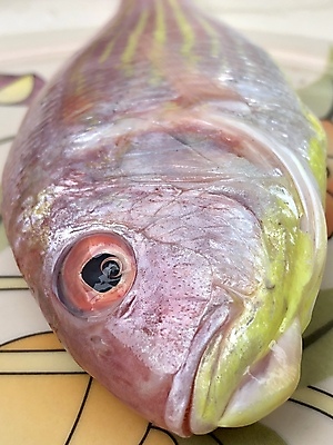 포토 JPG 해외이미지 동물 접시 음식 바다 분홍색 다이어트 재료 낚시 새우 건강 육류 어류 요리 사람없음 빨간색 머리 세일 얼음 식사 저녁식사 흰색 죽음 신선 잡기 입 시장 맛 구매 먹기 해산물 피부 날것 도미 지느러미 고등어 잉어 점심식사 거짓말 고립 소금물 송어 해외포토 자연요소 식기 컬러 컨셉 식재료 모션 레저 갑각류 신체부위 쇼핑 수중동물 파일형식 이미지허브