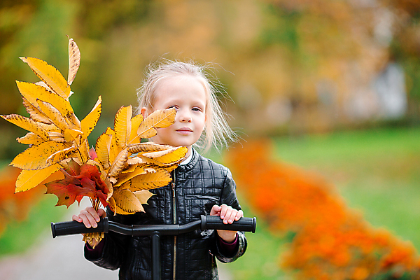 포토 JPG 해외이미지 공원 여자 어린이 단풍 낙엽 한명 상반신 앞모습 아웃포커스 산책로 잡기 다발 소녀한명만 해외포토 1 공공시설 길 뷰포인트 잎 모션 촬영기법 사람 여자한명만 소녀만 파일형식 이미지허브