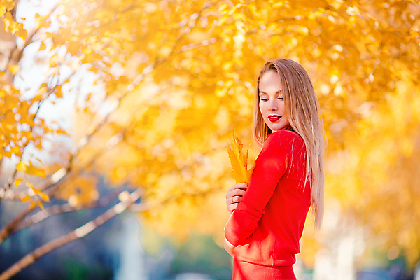포토 JPG 해외이미지 공원 여자 한명 미소 성인 야외 가을풍경 가을 잡기 숲 성인여자한명만 해외포토 1 계절 공공시설 모션 표정 사람 풍경 여자한명만 성인여자만 파일형식 가을_계절 이미지허브