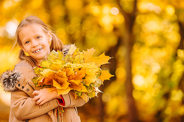 포토 JPG 해외이미지 나무 백인 공원 여자 어린이 한명 웃음 소녀 야외 가을풍경 맑음 가을 숲 소녀한명만 해외포토 서양인 식물 1 계절 공공시설 날씨 표정 사람 풍경 여자한명만 소녀만 파일형식 가을_계절 이미지허브