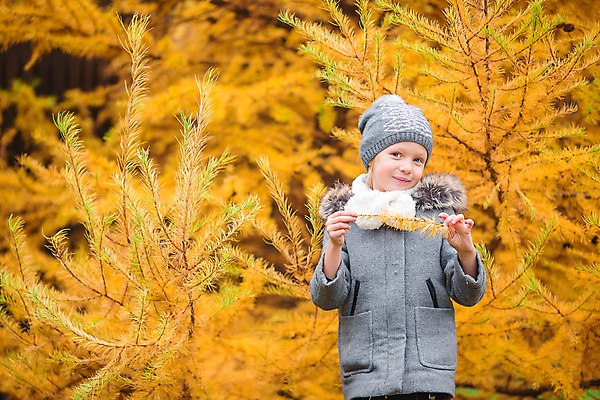 포토 JPG 해외이미지 나무 백인 공원 여자 어린이 한명 웃음 소녀 야외 가을풍경 맑음 가을 숲 소녀한명만 해외포토 서양인 식물 1 계절 공공시설 날씨 표정 사람 풍경 여자한명만 소녀만 파일형식 가을_계절 이미지허브