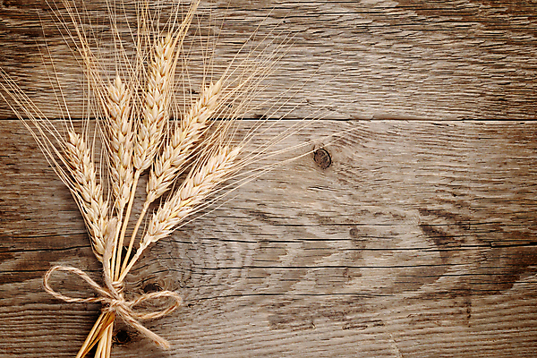 포토 JPG 해외이미지 밧줄 음식 꽃다발 백그라운드 농업 건조 건강 옥수수 씨앗 사람없음 목재 가로 농작물 노란색 수확 시골 그룹 황금 널 시리얼 밀 다발 삼베 유기농 질감 심플 귀 5 밀짚 숙성 호밀 카피스페이스 해외포토 나무 식물 웰빙 꽃 산업 줄 컬러 재료 곡류 신체부위 숫자 공백 짚 파일형식 천_직물 이미지허브