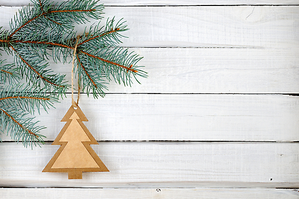 포토 JPG 해외이미지 모양 나무 종이 백그라운드 컨셉 크리스마스장식 크리스마스 겨울 휴가 새해 아이디어 매달리기 사람없음 목재 장식 가로 초록색 크리스마스트리 수확 흰색 나뭇가지 시골 축하 널 심볼 질감 복고 심플 판지 핸드메이드 가문비나무 카피스페이스 해외포토 식물 계절 기념일 컬러 농업 재료 모션 공백 파일형식 이미지허브