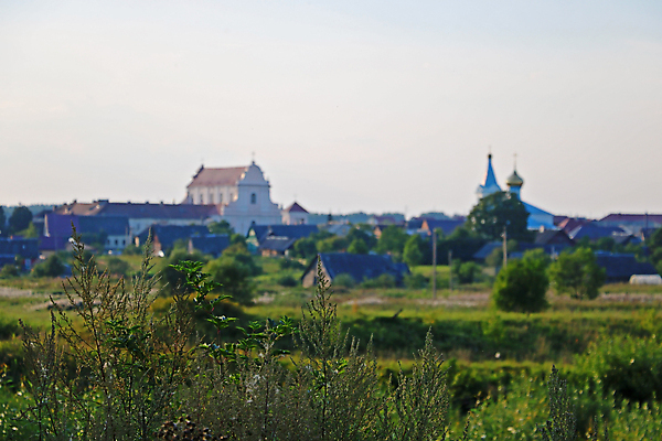 포토 JPG 해외이미지 식물 계절 꽃잎 꽃 백그라운드 밭 자연 하늘 아침 바람 산 사람없음 야외 초록색 파란색 빛 컬러풀 햇빛 노란색 일출 환경 맑음 봄 시골 신선 소프트포커스 언덕 내추럴 그리너리 해외포토 주간 자연요소 컬러 농업 날씨 촬영기법 태양 노을 생태계 파일형식 트랜드컬러 이미지허브