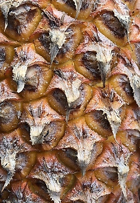 포토 JPG 해외이미지 식물 외관 음식 패턴 다이어트 오렌지 과일 자연 표면 추상 디저트 건강 요리 사람없음 초록색 컬러풀 햇빛 노란색 주스 봄 껍질 신선 거친 가시 달콤 피부 파인애플 오브젝트 유기농 질감 날것 내추럴 숙성 이국적 해외포토 웰빙 계절 음료 컬러 무늬 신체부위 태양 맛 열대과일 생태계 파일형식 이미지허브