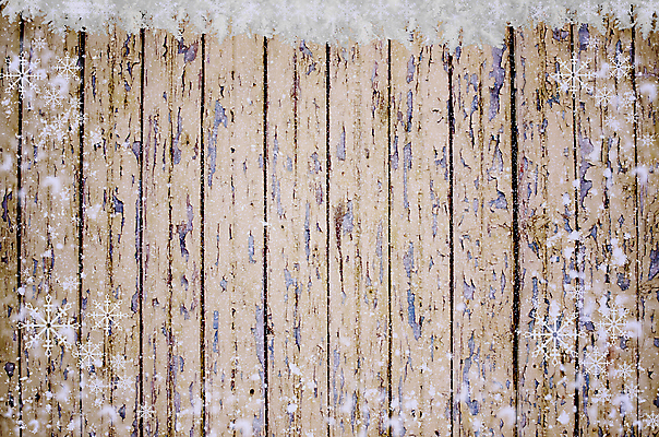 포토 JPG 해외이미지 나무 디자인 배너 벽 조각 백그라운드 크리스마스 겨울 패턴 자연 벽지 탁자 표면 날씨 휴가 전등 새해 프레임 사람없음 목재 갈색 냉동 얼음 어둠 추위 수확 흰색 시골 판넬 신용카드 눈송이 널 낟알 책상 사인 질감 그런지 노엘 옛날 눈내림 카피스페이스 해외포토 자연요소 식물 계절 기념일 컬러 가구 무늬 농업 재료 조명 눈_날씨 금융 공백 생태계 파일형식 이미지허브