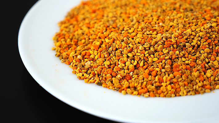 포토 JPG 해외이미지 식물 계절 꽃 곤충 백그라운드 잎 꽃무늬 자연 사람없음 초록색 여름 뷰티 노란색 정원 봄 벚꽃 신선 닫기 벌 유기농 꽃가루 꿀 내추럴 해외포토 동물 웰빙 컬러 무늬 모션 가루 생태계 파일형식 이미지허브