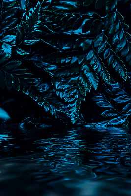 포토 JPG 해외이미지 호수 물결 백그라운드 잎 자연 사람없음 남색 해외포토 식물 컬러 생태계 파일형식 이미지허브