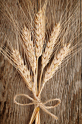 포토 JPG 해외이미지 밧줄 음식 꽃다발 백그라운드 농업 건조 건강 옥수수 씨앗 사람없음 목재 가로 여름 농작물 노란색 수확 시골 그룹 황금 널 시리얼 밀 다발 삼베 유기농 질감 심플 귀 5 밀짚 숙성 호밀 해외포토 나무 식물 웰빙 계절 꽃 산업 줄 컬러 재료 곡류 신체부위 숫자 짚 파일형식 천_직물 이미지허브