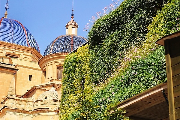 포토 JPG 해외이미지 식물 디자인 꽃 벽 줄기 여행 잎 꽃무늬 건축양식 자연 잔디 사람없음 건물 장식 세로 초록색 파란색 관광지 교회 환경 정원 봄 성장 도시 스페인 환경보전 생태계 원예 질감 아이비 개발 생태학 알리칸테 그리너리 해외포토 건축물 계절 교육 건축 유럽 컬러 무늬 종교건축 취미 사회이슈 파일형식 트랜드컬러 이미지허브