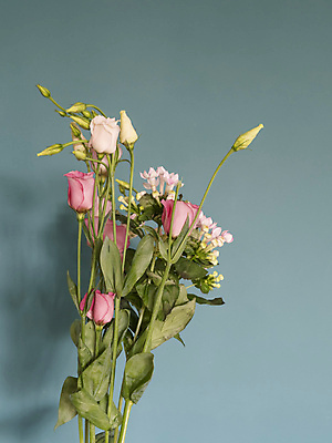 포토 JPG 해외이미지 식물 계절 꽃잎 꽃 행복 선 벽 줄기 분홍색 백그라운드 잎 꽃무늬 자연 새로움 주택 그림자 선물 사람없음 장식 초록색 빛 컬러풀 우주 맑음 봄 성장 벚꽃 나뭇가지 신선 개화 4월 원예 질감 부드러움 내추럴 고립 카피스페이스 해외포토 나무 감정 컬러 컨셉 무늬 날씨 취미 건물 공백 감각 날짜 생태계 파일형식 이미지허브