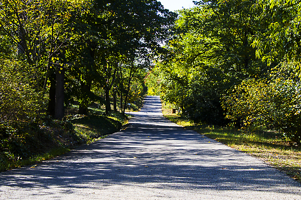 포토 JPG 해외이미지 나무 식물 디자인 계절 공원 꽃 도로 꽃다발 백그라운드 잎 밭 자연 벽지 프레임 잔디 사람없음 야외 초록색 빛 울타리 컬러풀 햇빛 환경 정원 봄 성장 벚꽃 개화 숲 땅 허브 조경 내추럴 뒤뜰 방법 그리너리 해외포토 공공시설 길 컬러 농업 교통시설 담장 태양 생태계 파일형식 트랜드컬러 이미지허브