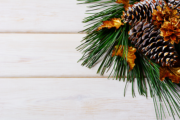 포토 JPG 해외이미지 나무 전통 계절 문화 결혼 백그라운드 컨셉 잎 크리스마스 탁자 휴가 새로움 선물 사람없음 목재 장식 컬러풀 파티 우주 축제 저녁식사 화환 활발 기쁨 나뭇가지 시골 축하 인사 소나무 신용카드 황금 우아함 12월 연도 배열 전나무 원뿔 가문비나무 그리너리 해외포토 도형 식물 기념일 꽃 감정 컬러 가구 재료 이벤트 금융 식사 예절 날짜 파일형식 트랜드컬러 이미지허브