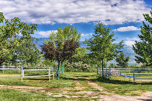 포토 JPG 해외이미지 나무 영어 도로 백그라운드 밭 농업 자연 하늘 아침 영국 잉글랜드 사람없음 야외 초록색 빛 햇빛 농장 농경지 일출 일몰 시골 소 언덕 대문 장면 아일랜드 밭일 수평선 해외포토 주간 식물 문자 유럽 산업 길 컬러 포유류 교통시설 태양 문 노을 생태계 파일형식 이미지허브
