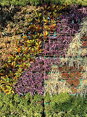 포토 JPG 해외이미지 나무 식물 디자인 계절 꽃 백그라운드 컨셉 잎 꽃무늬 패턴 자연 벽지 탁자 추상 아이디어 안테나 사람없음 초록색 컬러풀 유행 정원 봄 흰색 신선 신용카드 플랫 정상 숲 엉덩이 유기농 질감 머리위 위치 내추럴 파스텔톤 힙스터 그리너리 미니멀 해외포토 웰빙 패션 컬러 가구 무늬 통신 신체부위 금융 생태계 파일형식 트랜드컬러 이미지허브