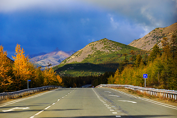 포토 JPG 해외이미지 나무 식물 라이프스타일 계절 공원 도로 길 여행 컨셉 교통시설 모션 자동차 자연 하늘 휴가 산 사람없음 야외 컬러풀 햇빛 태양 노란색 맑음 미국 숲 방향 언덕 속도 타이어 굴곡 루트 자동 스타일 해외포토 자연요소 공공시설 육상교통 컬러 교통 북아메리카 날씨 생활 시설 생태계 파일형식 이미지허브