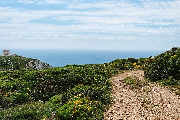 포토 JPG 해외이미지 모양 식물 디자인 계절 꽃 분홍색 백그라운드 꽃무늬 패턴 밭 자연 사람없음 야외 빨간색 초록색 빛 컬러풀 태양 뷰티 정원 맑음 봄 들꽃 다양 벚꽃 흰색 시골 신선 개화 포르투갈 질감 데이지 양귀비 내추럴 섞기 수레국화 옛날 스타일 해외포토 자연요소 유럽 컬러 다수 무늬 농업 날씨 생태계 파일형식 이미지허브