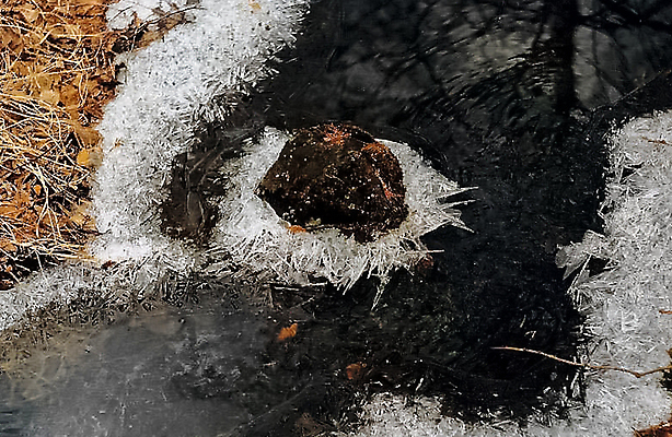 포토 JPG 해외이미지 구름 계절 공원 여행 백그라운드 잎 자연 하늘 휴가 산 파노라마 아이슬란드 풍경 사람없음 야외 초록색 물 여름 강 환경 절벽 폭포 흐름 가을 바위 개울 숲 5월 러시아 내추럴 리투아니아 해외포토 자연요소 식물 공공시설 유럽 컬러 컨셉 촬영기법 돌_바위 날짜 생태계 파일형식 이미지허브