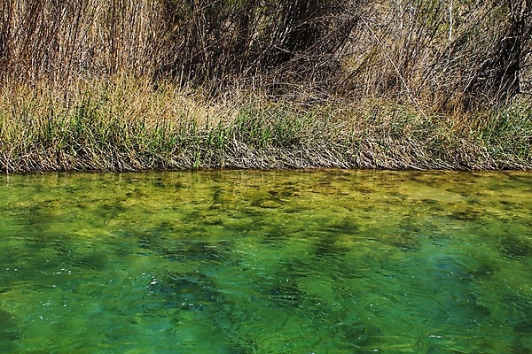 포토 JPG 해외이미지 나무 식물 여행 곡선 자연 하늘 산 풍경 사람없음 야외 옆모습 초록색 물 파란색 강 햇빛 환경 계곡 고요 봄 거품 하이킹 습기 젖음 바위 신선 개울 스페인 숲 땅 내추럴 엘리먼트 해외포토 자연요소 계절 유럽 선 뷰포인트 컬러 레저 태양 돌_바위 생태계 파일형식 이미지허브