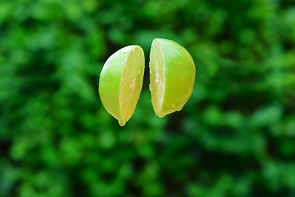 포토 JPG 해외이미지 음식 조각 백그라운드 다이어트 과일 자연 귤 건강 사람없음 초록색 물 노란색 주스 흰색 신선 액체 떨어짐 씻기 자르기 레몬 유기농 라임 다리찢기 내추럴 고립 소다 숙성 채식주의자 스플래쉬 비건 해외포토 자연요소 웰빙 음료 컬러 컨셉 모션 청결 생태계 채식 파일형식 이미지허브