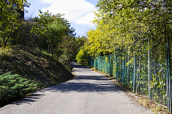 포토 JPG 해외이미지 나무 식물 디자인 계절 공원 꽃 도로 꽃다발 백그라운드 잎 밭 자연 벽지 프레임 잔디 사람없음 야외 초록색 빛 울타리 컬러풀 햇빛 환경 정원 봄 성장 벚꽃 개화 숲 땅 허브 조경 내추럴 뒤뜰 방법 그리너리 해외포토 공공시설 길 컬러 농업 교통시설 담장 태양 생태계 파일형식 트랜드컬러 이미지허브
