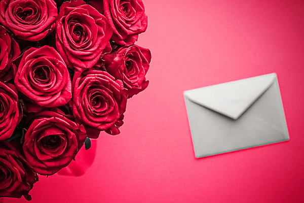 포토 JPG 해외이미지 분홍색 꽃다발 백그라운드 편지봉투 발렌타인데이 사람없음 장미 러브레터 해외포토 꽃 컬러 데이이벤트 봉투 편지 파일형식 이미지허브