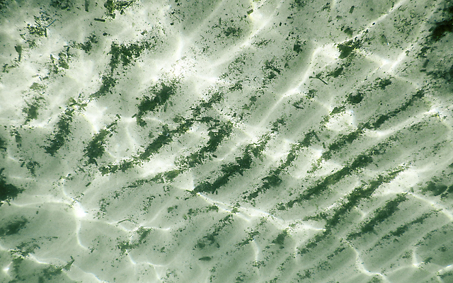 포토 JPG 해외이미지 모래 바다 여행 자연 하늘 휴가 사람없음 야외 물 파란색 모래사장 여행객 이탈리아 흰색 도시 지중해 타운 몰디브 강렬 베르데 터키석 해외포토 자연요소 유럽 아시아 컬러 사람 보석 생태계 파일형식 이미지허브