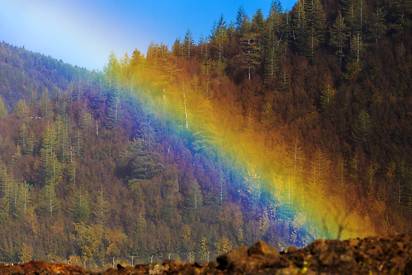 포토 JPG 해외이미지 나무 계절 공원 여행 백그라운드 무지개 자연 하늘 아침 산 파노라마 사람없음 야외 초록색 물 파란색 빛 뷰티 일출 환경 계곡 맑음 일몰 하이킹 숲 언덕 내추럴 웅장함 파라다이스 하와이인 해외포토 주간 자연요소 외국인 식물 공공시설 컬러 레저 날씨 촬영기법 노을 생태계 파일형식 이미지허브