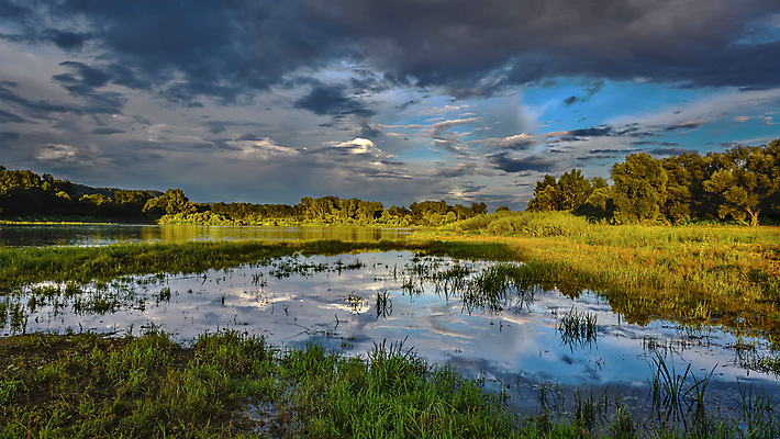 포토 JPG 해외이미지 나무 식물 구름 계절 호수 여행 백그라운드 자연 하늘 아침 파노라마 그림자 풍경 사람없음 야외 초록색 여름 파란색 빛 강 햇빛 반사 일출 맑음 일몰 봄 광선 시골 축복 습지 저녁 홍수 순수 언덕 장면 강렬 대패 해외포토 주간 자연요소 컬러 컨셉 날씨 촬영기법 태양 노을 야간 자연재해 생태계 파일형식 이미지허브