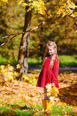 포토 JPG 해외이미지 나무 백인 공원 여자 어린이 한명 미소 웃음 소녀 야외 가을풍경 맑음 가을 숲 소녀한명만 해외포토 서양인 식물 1 계절 공공시설 날씨 표정 사람 풍경 여자한명만 소녀만 파일형식 가을_계절 이미지허브