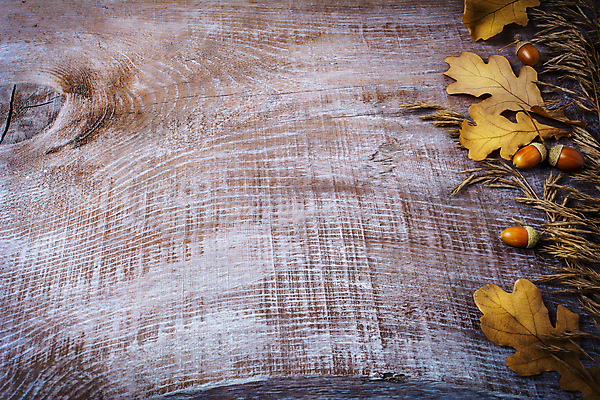 포토 JPG 해외이미지 계절 열매 음식 백그라운드 단풍 잎 농업 오렌지 과일 재료 호박 휴가 프레임 사람없음 목재 장식 농작물 주방 침묵 할로윈 수확 가을 시골 축하 인사 신용카드 모서리 가장자리 사과 11월 배열 유기농 날것 도토리 모음 추수감사절 10월 밭일 수목 호밀 카피스페이스 귀리 해외포토 나무 식물 웰빙 산업 기독교 컨셉 채소 곡류 금융 소리 공백 견과류 예절 날짜 둘레 파일형식 이미지허브