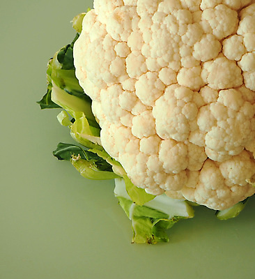 포토 JPG 해외이미지 손 음식 백그라운드 농업 채소 자연 건강 사람없음 목재 터치 수확 신선 브로콜리 유기농 채식주의자 해외포토 나무 웰빙 산업 재료 신체부위 생태계 채식 파일형식 이미지허브