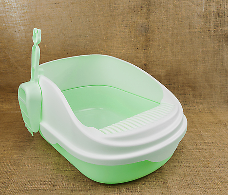 포토 JPG 해외이미지 동물 디자인 모래 백그라운드 컨셉 장신구 자연 주택 털 쟁반 실내 건강 앉기 사람없음 초록색 반려동물 상자 갈색 고양이 장비 흰색 쓰레기 플라스틱 삽 오브젝트 국자 직사각형 내추럴 고립 돌봄 변기통 위생관리 해외포토 도형 컬러 포유류 모션 재질 주방용품 관리 내부 건물 생태계 파일형식 이미지허브