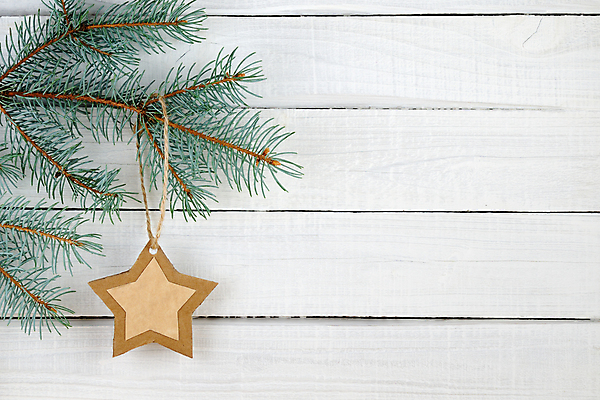 포토 JPG 해외이미지 모양 나무 별 종이 백그라운드 컨셉 크리스마스장식 크리스마스 겨울 휴가 새해 아이디어 매달리기 사람없음 목재 장식 가로 초록색 수확 흰색 나뭇가지 시골 축하 널 심볼 질감 복고 판지 핸드메이드 가문비나무 카피스페이스 해외포토 자연요소 식물 계절 기념일 컬러 농업 재료 모션 공백 파일형식 이미지허브