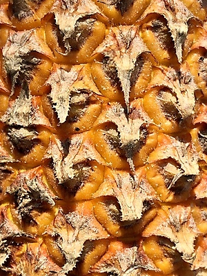 포토 JPG 해외이미지 식물 외관 음식 패턴 다이어트 오렌지 과일 자연 표면 추상 디저트 건강 요리 사람없음 초록색 여름 컬러풀 햇빛 노란색 주스 봄 껍질 가을 신선 거친 가시 달콤 피부 파인애플 오브젝트 유기농 질감 날것 내추럴 숙성 이국적 해외포토 웰빙 계절 음료 컬러 무늬 신체부위 태양 맛 열대과일 생태계 파일형식 이미지허브