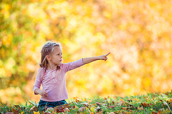 포토 JPG 해외이미지 나무 백인 공원 여자 어린이 한명 웃음 소녀 야외 가을풍경 맑음 가을 숲 소녀한명만 해외포토 서양인 식물 1 계절 공공시설 날씨 표정 사람 풍경 여자한명만 소녀만 파일형식 가을_계절 이미지허브
