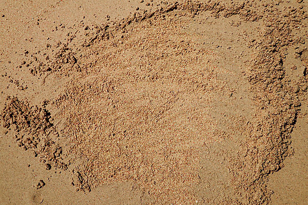 포토 JPG 해외이미지 디자인 모래 파도 바다 여행 백그라운드 패턴 자연 벽지 표면 추상 휴가 조개 미술 사람없음 야외 그래픽 빨간색 물 파란색 컬러풀 햇빛 뷰티 장미 수중 신용카드 산호 휴양지 질감 내추럴 생태학 이국적 콘크리트 파라다이스 해외포토 자연요소 교육 꽃 컬러 무늬 문화예술 어패류 금융 태양 장소 자포동물 생태계 파일형식 이미지허브