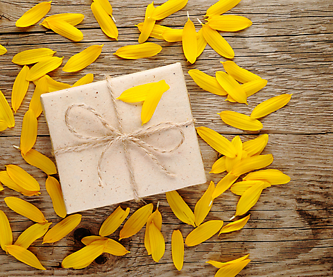 포토 JPG 해외이미지 식물 꽃잎 종이 밧줄 백그라운드 컨셉 꽃무늬 포장 자연 휴가 해바라기 아이디어 선물 사람없음 목재 상자 뷰티 갈색 노란색 놀람 활발 생일 널 삼베 질감 심플 패키지 노끈 내추럴 옛날 포장소품 해외포토 나무 기념일 꽃 감정 줄 컬러 무늬 재료 표정 오브젝트 생태계 포장재료 파일형식 천_직물 이미지허브