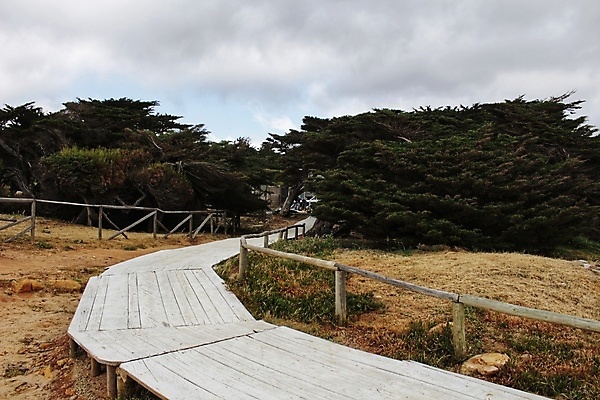 포토 JPG 해외이미지 나무 식물 공원 길 여행 자연 하늘 산 사람없음 목재 가로 초록색 환경 계곡 행성 신선 소나무 분위기 정상 숲 언덕 산등성이 침엽수 전나무 내추럴 방법 삼나무 삼림지대 천창 해외포토 공공시설 컬러 컨셉 재료 우주 생태계 파일형식 이미지허브