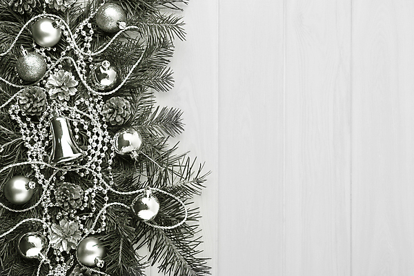 포토 JPG 해외이미지 나무 전통 계절 결혼 백그라운드 크리스마스 겨울 공 휴가 새로움 선물 사람없음 장식 컬러풀 파티 우주 화환 기쁨 장식볼 종 나뭇가지 축하 인사 소나무 신용카드 우아함 은색 12월 연도 배열 구슬 서리 초대 솔방울 전나무 원뿔 여의주 눈내림 가문비나무 해외포토 도형 식물 기념일 꽃 감정 컬러 컨셉 눈_날씨 이벤트 금융 예절 날짜 파일형식 이미지허브