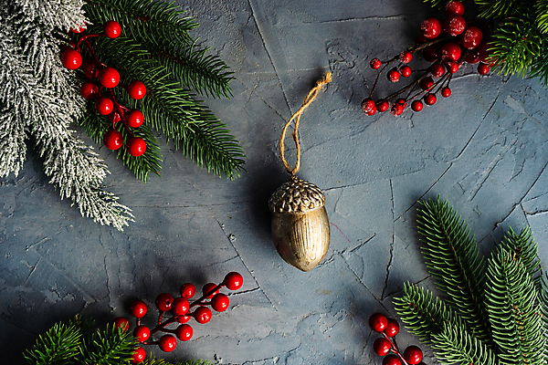 포토 JPG 해외이미지 열매 크리스마스 겨울 휴가 새해 프레임 사람없음 장식 빨간색 축제 기쁨 장식볼 축하 12월 해외포토 식물 계절 기념일 감정 컬러 컨셉 날짜 파일형식 이미지허브