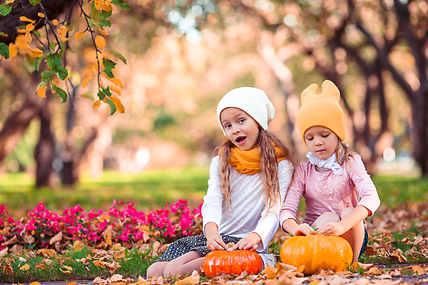 포토 JPG 해외이미지 전신 공원 여자 어린이 낙엽 호박 함께함 앉기 잔디 두명 앞모습 아웃포커스 놀람 잡기 자매 소녀만 내려보기 해외포토 식물 공공시설 감정 뷰포인트 컨셉 잎 채소 가족 모션 촬영기법 표정 사람 여자만 어린이만 파일형식 이미지허브