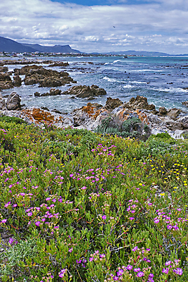 포토 JPG 해외이미지 야생동물 바다 아프리카 자연 사람없음 물 환경 골짜기 다양 생태계 생물학 서식지 대서양 남아프리카 보호구역 생태학 지질 해외포토 자연요소 동물 교육 나라 다수 구역 파일형식 이미지허브