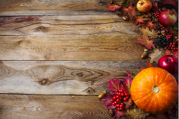 포토 JPG 해외이미지 식물 디자인 계절 열매 음식 백그라운드 잎 채소 오렌지 과일 자연 호박 휴가 프레임 씨앗 사람없음 목재 장식 빨간색 초록색 농작물 갈색 노란색 우주 할로윈 수확 가을 시골 인사 신용카드 모서리 가장자리 사과 11월 밀 질감 도토리 추수감사절 10월 밭일 수목 옛날 해외포토 나무 기독교 컬러 농업 재료 곡류 금융 견과류 예절 날짜 둘레 생태계 파일형식 이미지허브