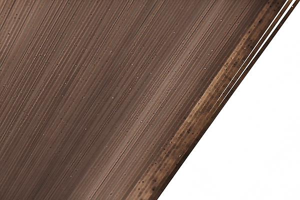 포토 JPG 해외이미지 실내 사람없음 검은색 흰배경 스파게티면 해외포토 컬러 백그라운드 내부 흰색 면류 파일형식 이미지허브