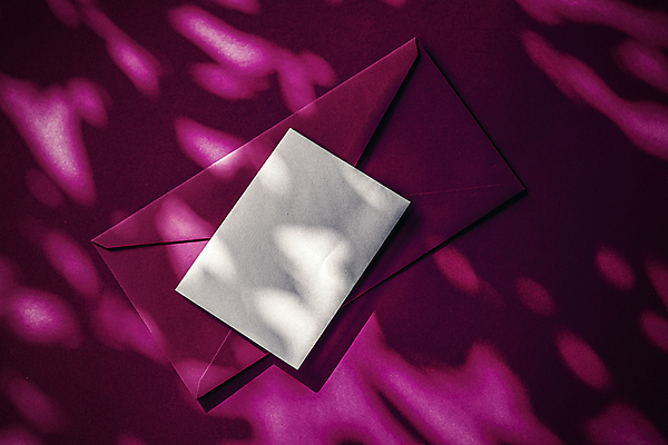 포토 JPG 해외이미지 종이 프레임 그림자 사람없음 뷰티 상점 보라색 이메일 온라인 뉴스레터 목업 레터헤드 해외포토 템플릿 컬러 파일형식 이미지허브