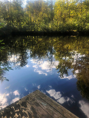 포토 JPG 해외이미지 나무 계절 공원 호수 파도 여행 백그라운드 자연 하늘 추상 휴가 사람없음 야외 목재 세로 초록색 물 파란색 강 햇빛 뷰티 반사 환경 맑음 침묵 신선 개울 숲 내추럴 삼림지대 잔물결 해외포토 자연요소 식물 공공시설 물결 바다 컬러 무늬 재료 날씨 태양 소리 생태계 파일형식 이미지허브