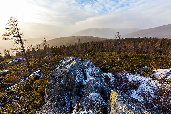 포토 JPG 해외이미지 나무 1 계절 여행 백그라운드 겨울 밭 자연 하늘 산 주택 사람없음 야외 초록색 빛 세계 햇빛 태양 일출 맑음 일몰 추위 시골 소나무 정상 숲 오두막 즐거움 장면 내추럴 해외포토 자연요소 식물 감정 컬러 농업 날씨 건물 노을 생태계 파일형식 이미지허브
