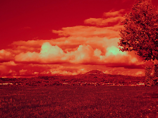 포토 JPG 해외이미지 나무 하늘 파노라마 사람없음 빨간색 도시 언덕 흐림 적외선 해외포토 식물 컬러 날씨 촬영기법 파일형식 이미지허브